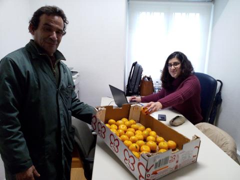 Distribuição de fruta da Horta Biológica, por toda a comunidade escolar